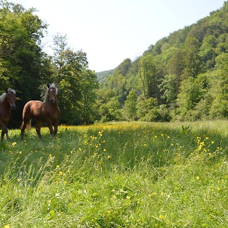 Moulin De La Cuse - Chambre L'Anse Cusance Kültér fotó