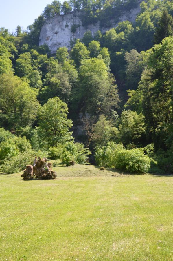 Moulin De La Cuse - Chambre L'Anse Cusance Kültér fotó
